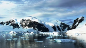 Küstenstreifen der antarktischen Halbinsel - Elisabeth Ewerdwalbesloh