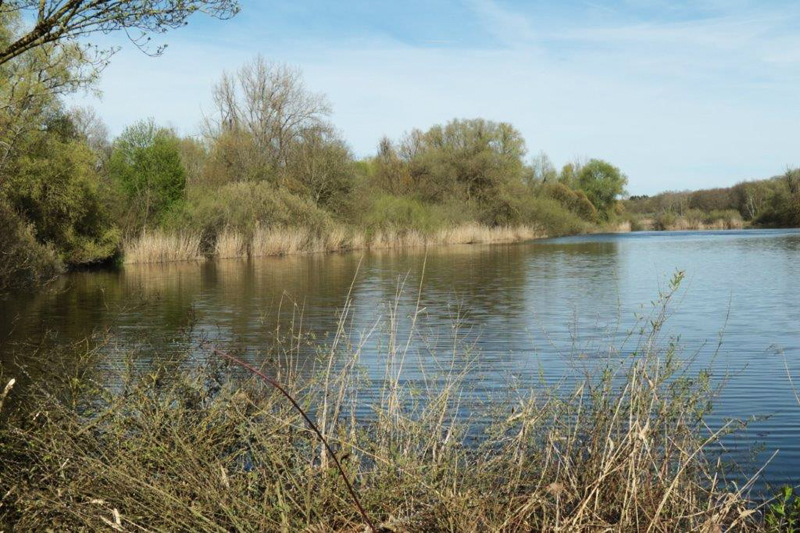 NSG Enkheimer Ried © Heinz Schaan